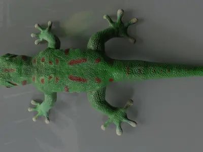 Giant Day Gecko Low-poly 3D model