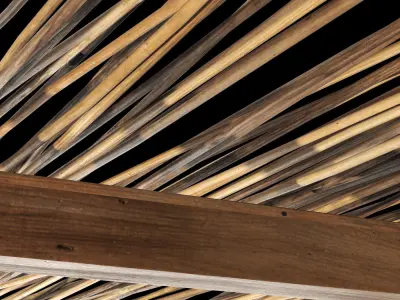 Ceiling thin branch rectangle n1 3D model