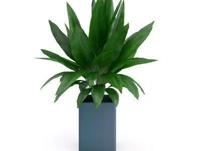 Plant in Square Blue Pot 3D model
