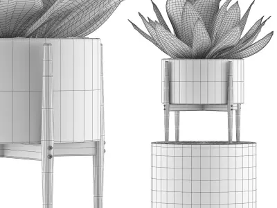 Plants Collection 73 3D model