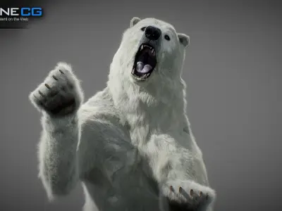 Animated Polar Bear 3D model