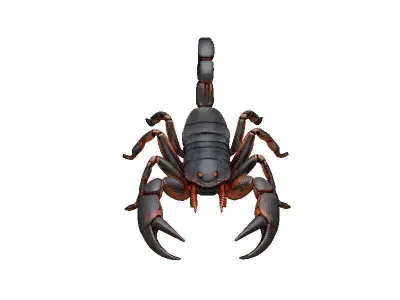 Scorpion Low-poly 3D model