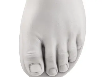Plaster figure of the foot of Hercules 3D model
