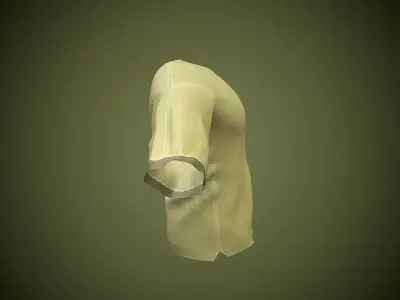 man shirt Low-poly 3D model