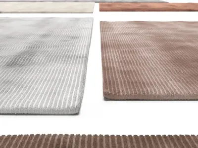 Viscose Rugs 3D model