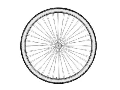 Bicycle wheel with spokes 3D model