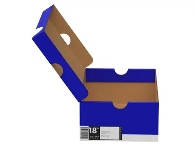 Nike Shoe Box PBR 12 Low-poly 3D model