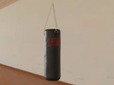 Punch Bag Low-poly 3D model
