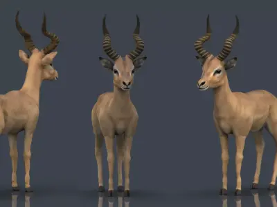 Impala antelope Low-poly 3D model