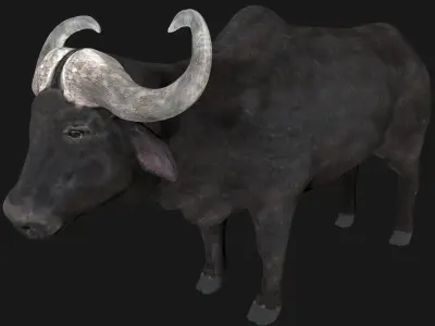 Buffalo fully rigged low poly Low-poly 3D model