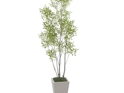 Amur Decorative Plant PBR 3D model