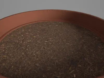 Plant Pot Low-poly 3D model