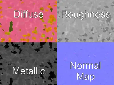 Papaver Pink Flower Detailed Petal Model Pack Low-poly 3D model