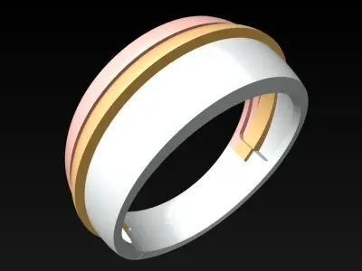 Ring N116300 3D print model