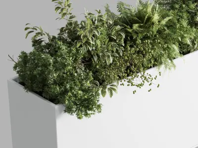 plastic box plants on stand - set indoor plant 389 Low-poly 3D model