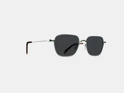 Healey Sunglasses in Polished Silver 3D model