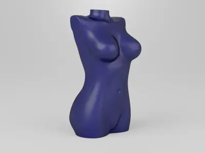 Female torso 1 3D print model