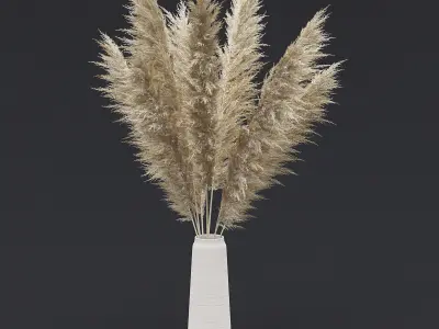 Pampas Grass II 3D model