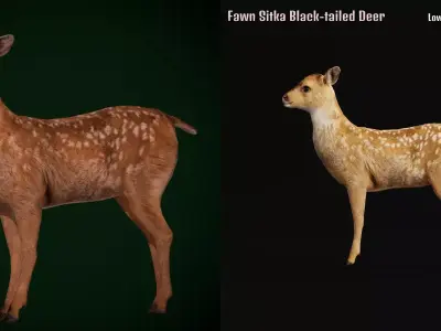Fawn Sitka Blacktail Deer Low-poly 3D model