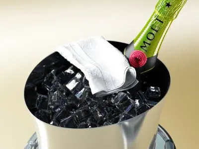Champagne Ice Bucket Collection 3D model