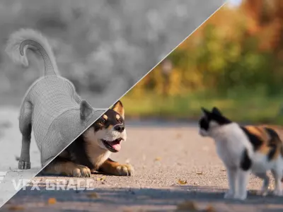 Four-Eyed Dog Animated VFX Grace 3D model