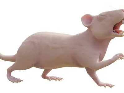 RET FOR VFX CGI 3D model