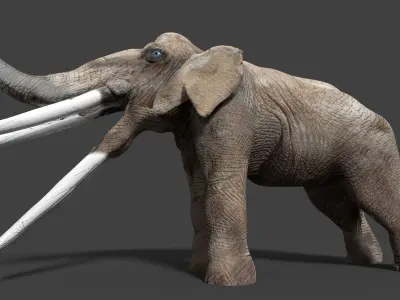 stegotetrabelodon elephant with two tusks 3D model
