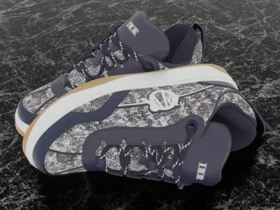 DIOR B9S SKATER 3D SHOES 3D model