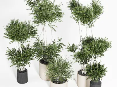 Collaction Indoor plant vol 44 3D model