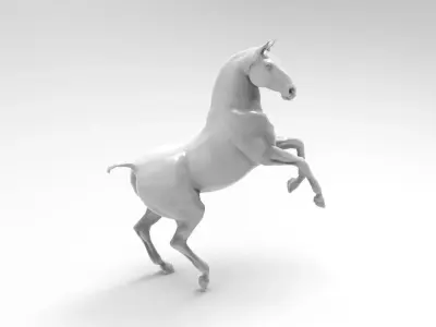 horse 3D model 24