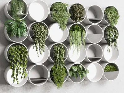 wall plant  set Indoor plant concrete wall vase 3D model