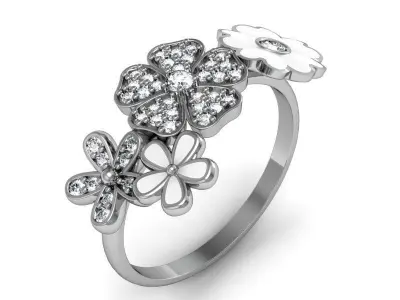 Ring with enamel ready for 3d print 3D print model