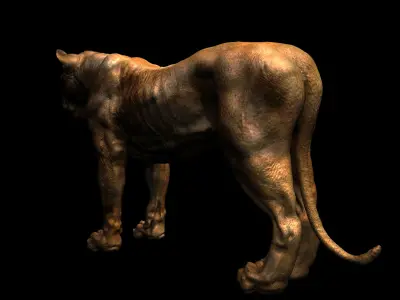 Animals - Lion 3D model