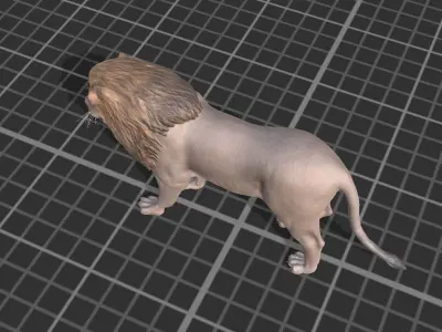 African Lion Low-poly 3D model