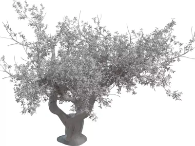 Twisted Ancient Tree Low-poly 3D model