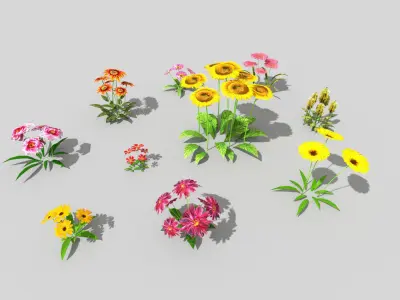 10 low poly flowers pack Low-poly 3D model