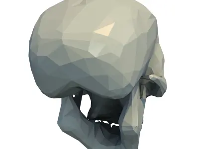 Skull Low Poly 3D print model