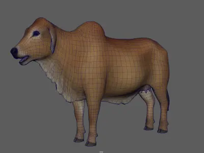 Indian Cow Low-poly 3D model