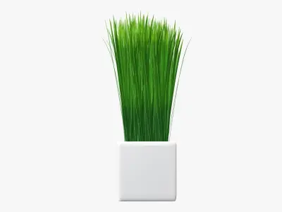 Long grass potted decorative   3D model