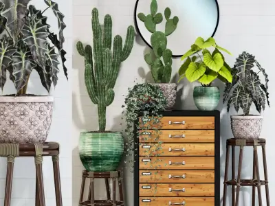 Plants collection 123 3D model