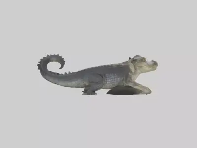 Freshwater crocodile Low-poly 3D model