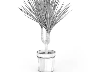Palm Tree in Round Pot 2 3D model