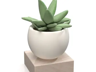 Mini Decorative Fake Succulent Artificial Plants PBR 3D model