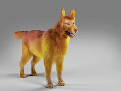 Fur Red Dog No Rigged Low-poly 3D model