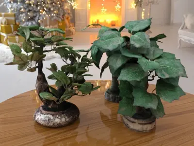 Bonsais Pack 3D model