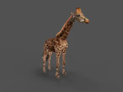 Fur Giraffe Rigged in Blender Low-poly 3D model