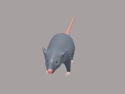 The  little Rat 3D model