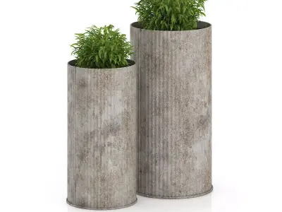 Two Plants in Large Pots 3D model