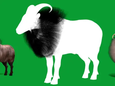 Himalayan Tahr Wild Goat Low-poly 3D model