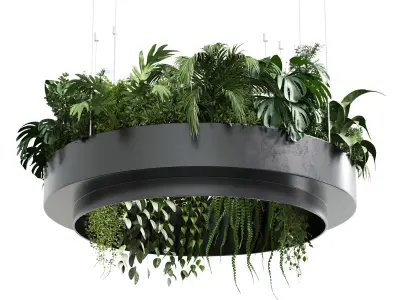 hanging plants collection Indoor plant 241 metal dirt vase  3D model